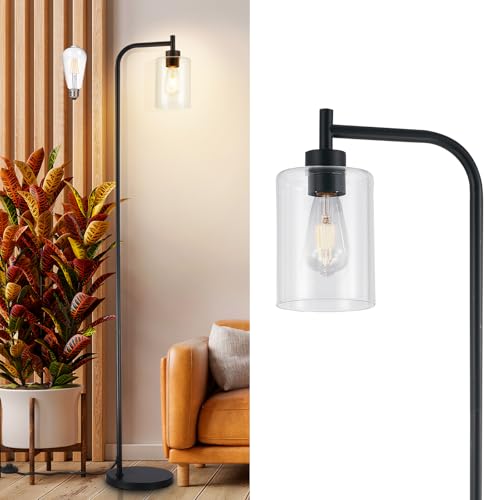 DLLT Floor Lamp Tall for Room: Black Standing Lamp with Clear Glass Lampshade for Living Room - Modern Bright Lamp for Bedroom - Industrial Corner Floor Lamps for Office 8W Led Bulb Included - color: Black-BF