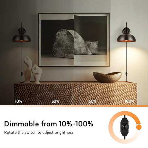 Lightess Plug in Wall Sconce with Dimmable Switch Black Barn Wall Lamp | Flexible Gooseneck Plug In Dimmable Wall Light Rustic Industrial Farmhouse Style For Multiple Indoor Home Decor Spaces - color: Black with Plug-in Cord