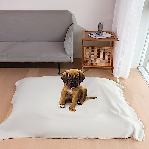 CAI TENG Fleece Throw Blankets 6 Pack Bulk Lightweight Warm Soft 50 x 60 in Kids Blanket Picnic Cozy Fleece Fabric Microfiber Small Blanket for Bed Sofa Office Travel Beige - color: Beige