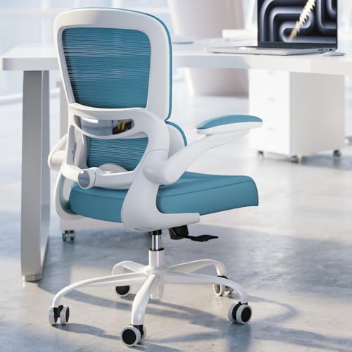 TRALT Office Chair - Ergonomic Desk Chair with Adjustable Lumbar Support, Mesh Computer Chair, Executive Chair for Home Office Comfortable Lumbar Support (1, Sky Blue) - color: Sky Blue