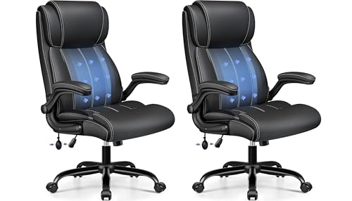 BESTFAIR Ergonomic Office Desk Chair, Adjustable Lumbar Support, Black | Back Support for Prolonged Sitting, Flip-Up Arms, 21" Wide Padded Seat, Neck Friendly High Back, Rocking & Rolling, 2 Pack - color: Black, size: 2 Pack