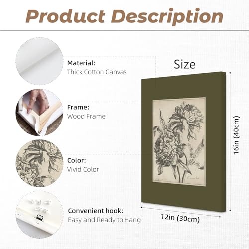 Vintage Floral Wall Art Sketch Flower Prints Antique Botanical Canvas Wall Art Decor Vintage Etchings Floral Poster Green Botanical Painting Sage Green Artwork for Bedroom 12x16x6 Inch Wrapped Canvas - color: Sketch Flower Art, size: 12x16 Inch Wrapped Ca