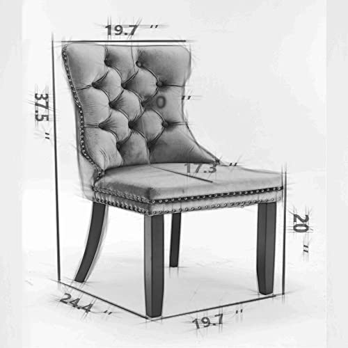 Virabit Blue Set of 2, Velvet Tufted Dining Chairs with Nailhead Back and Ring Pull Trim, Upholstered Dining Chairs for Kitchen/Bedroom/Dining Room… - color: Blue, size: set of 2
