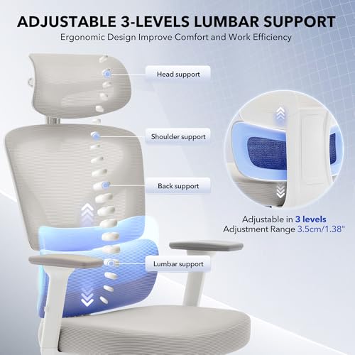 Ergonomic Office Chair Mesh – Adjustable Lumbar 3D Armrests High-Back Desk | Breathable mesh backrest; seat height & tilt-angle adjustment; smooth-rolling casters; easy to assembly, for Home, Office - color: Grey-d