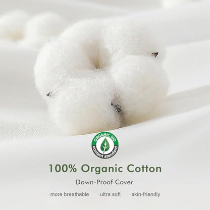 TOPGREEN Feather Down Throw Pillow Inserts 18 x 18, Set of 2, 100% Organic Cotton Shell, Soft Decorative Square Pillows Insert for Living Room Sofa, Couch, or Bed (White) | 100% Organic and Double-Layer Down-Proof Cotton Cover, Ethical-Sourced Feather Dow