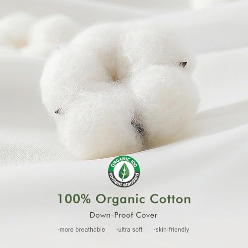 TOPGREEN Feather Down Throw Pillow Inserts 20 x 20, Set of 2, 100% Organic Cotton Shell, Soft Decorative Square Pillows Insert for Living Room Sofa, Couch, or Bed (White) | 100% Organic and Double-Layer Down-Proof Cotton Cover, Ethical-Sourced Feather Dow