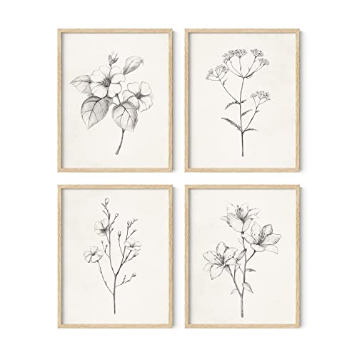 HAUS AND HUES Grey Floral Wall Art - Set of 4 Plant Posters for Wall Vintage, Botanical Prints, Black and White Flower Pictures for Room Aesthetic, Farmhouse Bathroom, Rustic Art (Beige Frame, 11x14) - color: Antique Flower Drawings, size: 11x14, style: B