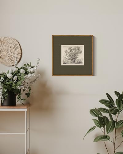 InSimSea Vintage Tree Canvas Wall Art, 12x12 Framed Botanical Sketch Print | Retro Home Decor, Rustic Nature Wall Decor for Living Room Bedroom Office, Antique Farmhouse Woodland Artwork - color: Tree, size: 12"L x 12"W