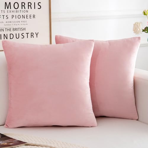 Velvet Decorative Throw Pillow Covers, Soft Square Cushion Case Home Decor for Living Room Couch Bed Sofa, Set of 2 Pack, Pink, 18x18 Inch - color: Pink, size: 18" x 18" (Pack of 2)