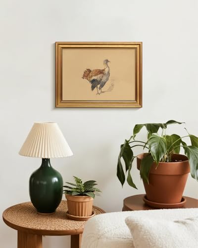 HUARCEY Vintage Gold Framed Study of Turkeys Artwork Wall Art Print | Antique Rustic Bird Illustration Featuring, Country History Thanksgiving Canvas Decor for Easter Kitchen Living Room 12"x16" - color: Bird Atlas - Great Bustard, size: 16"L x 12"W