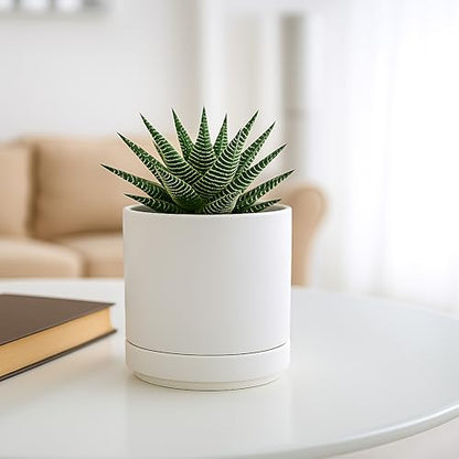 D'vine Dev 2-Pack Ceramic Pots with Saucers, White, 4.7 in, 94-V-B-1 | Modern Cylinder Design, Glazed Ceramic, Drainage Hole & Saucer Included, High Temperature Fired, Elegant Home Accent - color: White, size: 4.7 Inch