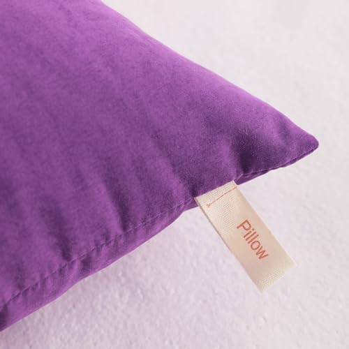 NTBAY Toddler Pillows, Down Alternative 13"x18" Pillows, Machine Washable - Soft and Breathable Travel Small Pillows for Sleeping, Ideal for Daycare, Crib, Cot, Purple | Soft Microfiber Toddler Pillows with Down-Alternative Fill, 2 Pack 13 x 18 Inch Pillo