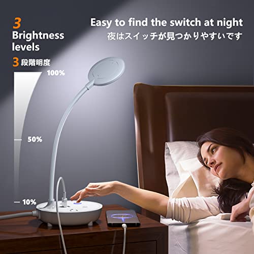 LED Desk Lamp with 2 USB Charging Ports and 2 AC Power Outlets - Adjustable Gooseneck Desk Light with 3 Level Brightness, Eye-Caring Small Table Lamp for Home Office, College Dorm Room Essentials