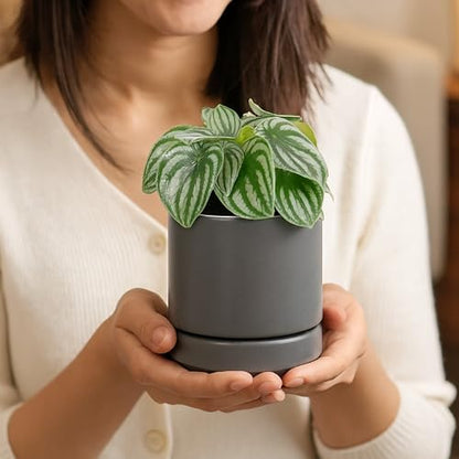D'vine Dev 2-Pack Ceramic Pots with Saucers, Grey, 4.7 in, 94-V-B-3 | Modern Cylinder Design, Glazed Ceramic, Drainage Hole & Saucer Included, High Temperature Fired, Elegant Home Accent - color: Gray, size: 4.7 Inch
