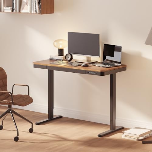 FLEXISPOT Comhar 48" Electric Standing Desk with Storage, Built-in Drawer & USB Charging Ports, Height Adjustable Sit Stand Computer Desk, Quick Assembly, Child Lock, Walnut - size: 48"Dark Walnut/Black
