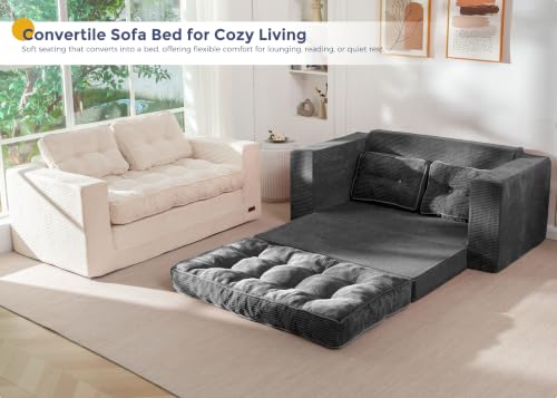 MAXYOYO Folding Sofa Bed, Convertible Sleeper Loveseat with Pillows | 2-Person Fold-Out Loveseat, Convertible Sleeper Bed with Supportive Pillows for Relaxing or Overnight Guests, Dark Grey - color: Dark Grey