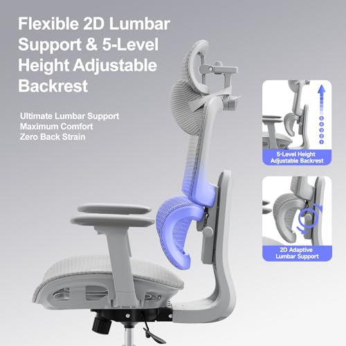 Ergonomic Office Chair with 3D Headrest, Computer Chair with Adjustable Backrest & 3D Armrest, Gaming Chair with Adaptive Lumbar Support, Mesh Backrest & Cushion, Grey - color: Grey, style: Eco