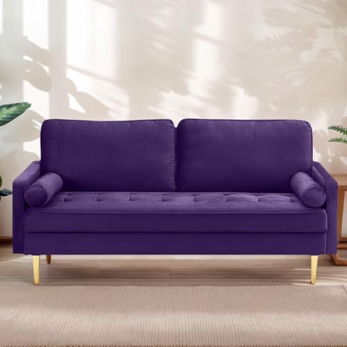 65" Love Seat Sofa, Velvet Small Sofa Small Couch for Bedroom Living Room, Bedroom, Loveseat with 2 Pillows, Gold Legs, Modern Tufted Seat Upholstered Seating for Office, Apartment (Purple) - color: Purple