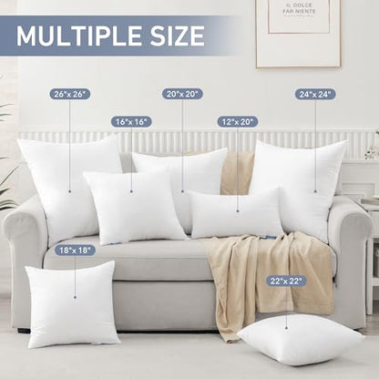 Leeden 18x18 Pillow Inserts Pack of 2, 18 Inch Throw Pillow Inserts, Soft Fluffy Decorative Square Throw Pillows for Couch, Sofa, Bed, and Home Decor White Pillows - size: 18x18 Inch