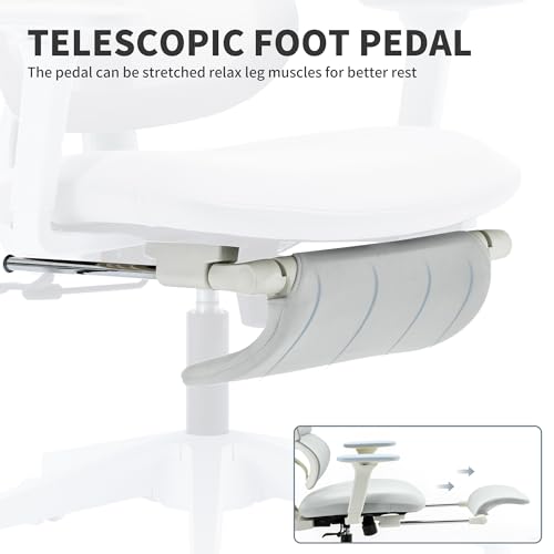 Ergonomic Office Chair with Footrest, 90-135° Reclining High Back Desk Chair with Lumbar Support, 2D Headrest, 2D Armrests, Computer Chair for Long Hours, Light Grey - color: Light Grey
