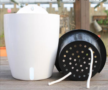 Visible Water Level Self Watering Planter,Hanging Planters,Wall Mounted Plants Holder,Small Flower pots Indoor Out Flowerpot with 3 Hooks Plastic Pots for Plants 3 Pack (White, 5.5inch) - size: 5.5 Inch