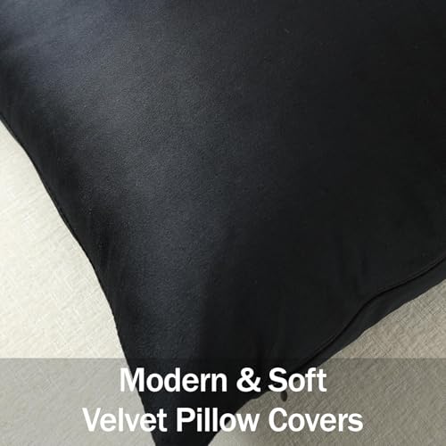 Lumbar Pillow Covers 12x20 Black: Pack of 2 Cozy Soft Velvet Rectangular Modern Luxury Decorative Throw Pillow Cases for Sofa Couch Living Room Bed Home Decor - color: Caviar, size: 20" x 12" (Pack of 2)