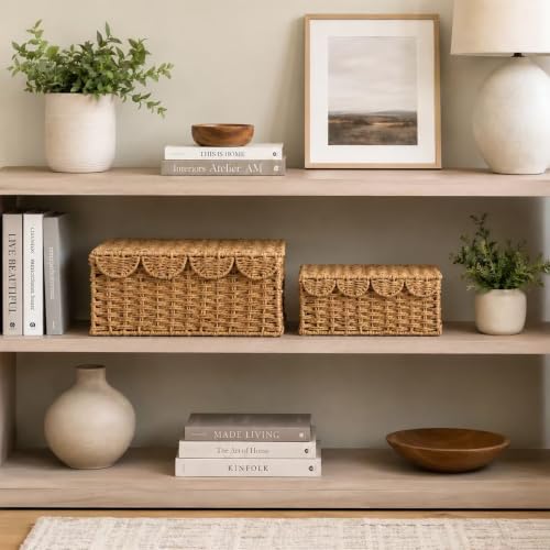 Set of 2 Scalloped Wicker Baskets with Lid,Paper Rope Decorative Storage Baskets for Shelves, Display Shelf, Handmade Cute Woven Basket for Nursery,Living Room Decor