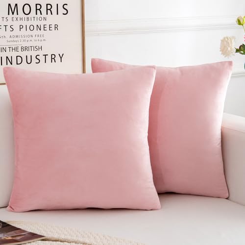 Velvet Decorative Throw Pillow Covers, Soft Square Cushion Case Home Decor for Living Room Couch Bed Sofa, Set of 2 Pack, Pink, 16x16 Inch - color: Pink, size: 16" x 16" (Pack of 2)