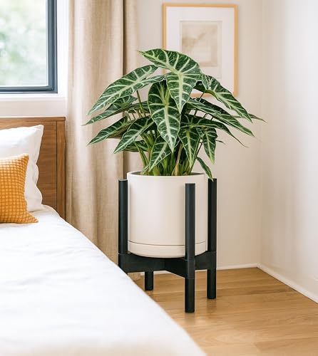 D'vine Dev Ceramic Pot with Ebony Wood Stand, Oatmeal, 8 in, 55-B-M-8 | Mid-Century Modern Design, Raised Plant Display, Solid Beech Wood Stand, Premium Craftsmanship, Sophisticated Home Decor - color: Oatmeal Pot + Ebony Stand, size: 8 Inch
