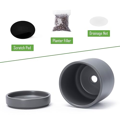 D'vine Dev 2-Pack Ceramic Pots with Saucers, Grey, 4.7 in, 94-V-B-3 | Modern Cylinder Design, Glazed Ceramic, Drainage Hole & Saucer Included, High Temperature Fired, Elegant Home Accent - color: Gray, size: 4.7 Inch