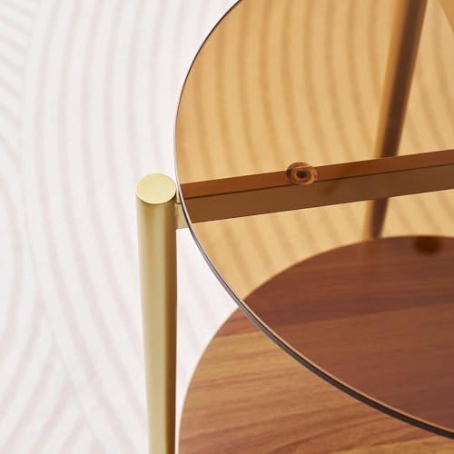 LumFurn D18in Round Glass End Table, Mid-Century Modern Design Side Table for Living Room, D18xH23inch, Amber Glass and Walnut MDF Wood, Conical Legs with Gold Finish Frame - color: D18" Amber & Walnut