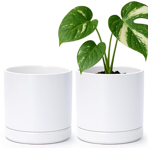 D'vine Dev 2-Pack Ceramic Pots with Saucers, White, 6.5 in, 94-V-C-1 | Modern Cylinder Design, Glazed Ceramic, Drainage Hole & Saucer Included, High Temperature Fired, Elegant Home Accent - color: White, size: 6 Inch