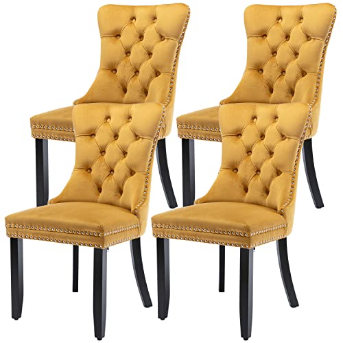 Virabit Velvet Dining Chairs Set of 4, Tufted Upholstered Dining Chairs with Nailhead Back and Ring Pull Trim, Solid Wood Dining Chairs for Kitchen/Bedroom/Dining Room (Gold) - color: Gold, size: set of 4