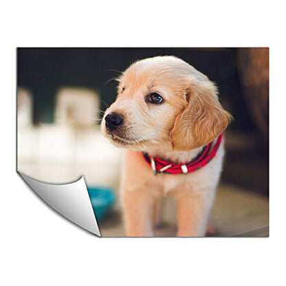 Customized Small Wall Mural with Your Pet Photos, Removable Self-Adhesive Wallpaper for Living Room Bedroom - 36x48 inches - color: Custom-pet, size: 36"x48"