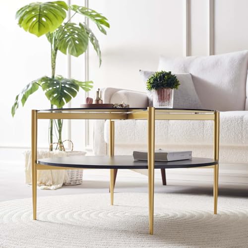 LumFurn Round Coffee Table for Living Room, Mid-Century Modern Design, D30 x H17, 2-Tier Structure, Grey Glass Top and Black Marble Finish Wood Shelf, Sleek Conical Metal Legs with Gold Finish Frame - color: D30" Grey & Black Marble