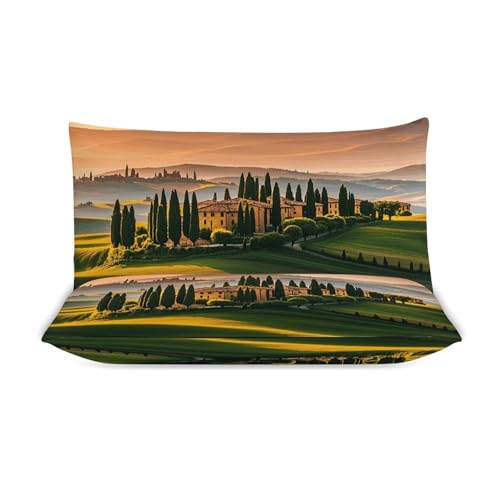 3 Piece Italy Tuscan Bedding Set - Ultra Soft Fabric & Double-Sided Print, Breathable Comforter Set with 1 Quilt Cover & 2 Pillowcases for Home Hotel, 79"x90" - size: 79"x90"