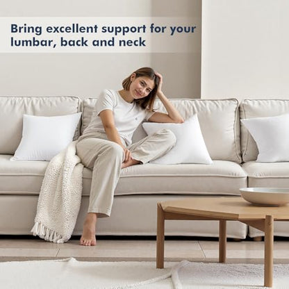 MIULEE 12x12 Throw Pillows Inserts 2 Pack, Decorative Pillows for Couch Bed | 100% Virgin Filling, Full and Fluffy, Lumbar, Back and Neck Support - size: 12x12 Inch