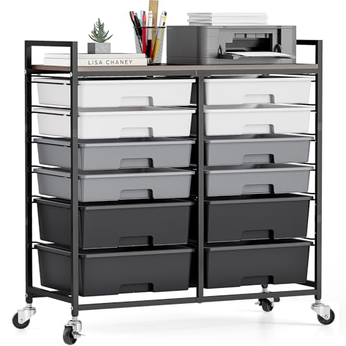 TOOLF 12 Drawers Rolling Storage Cart with Wooden Top for Classroom,Grey | Teacher Cart Craft Art Supply Organizer, Utility Cart with Lockable Wheels for Home Household Essentials, Office Organization - color: Grey