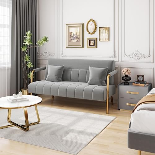 Yaheetech 56.5" Small Sofa 2 Seater Couch with Gold-Tone Legs, Light Gray | Small Sofa Loveseat Velve 2 Seater Couch with Tufted Back Gold Metal Frame 2 Pillows for Office, Studio,Living Room - color: Light Gray, size: 56.5" W