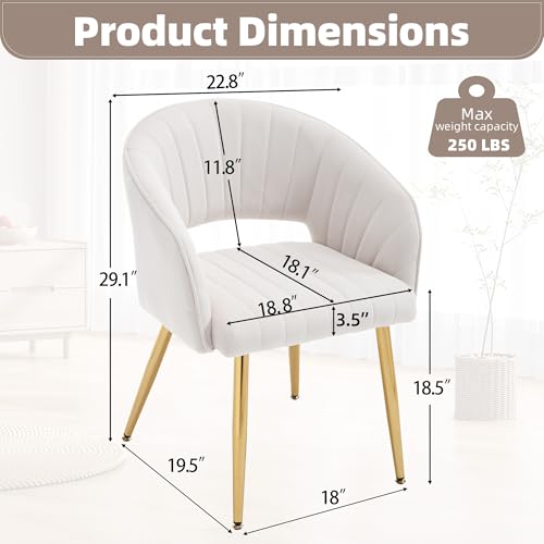 Velvet Home Office Desk Vanity Chair, No Wheels, Gold Legs, Off-White Cream | Modern Accent Chair with Stylish Stripe Design, Spacious‌ Soft Seat for Girls & Women Bedroom Makeup or Nail Table - color: Off-white Cream Velvet, No Wheels