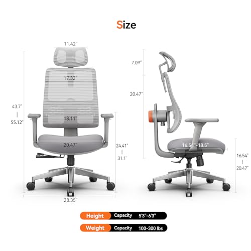 Ergonomic High-Back Office Chair, Home Office Desk Chair with Auto-Following Lumbar Support, Adjustable Headrest, 3D Armrest, Seat Depth & Heigh Adjustable, 96°-126° Recline - color: Grey
