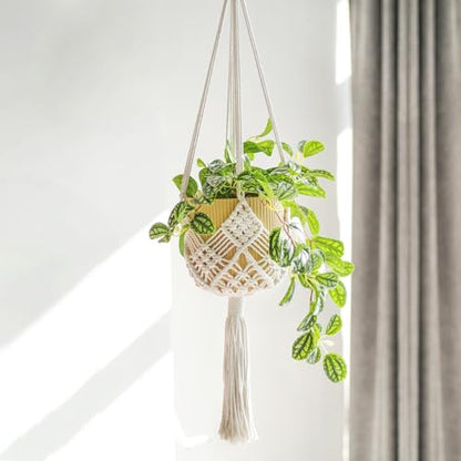 4 Pack Macrame Plant Hangers Indoor Up to 10 inch Pot, Boho Hanging Planters, Plant Holder with 8Pcs Stainless Steel Hooks - color: 4pcs White Hanger