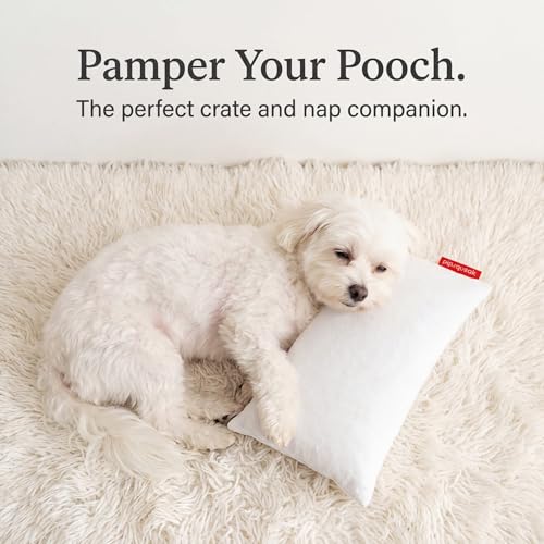 Pipsqueak Microfiber Pillow - Small, Mini, Tiny - 11 x 7 in - Perfect for Travel, Cars, Airplanes, Camping, Dogs, Toddlers, Kids, Lumbar, Knees and Neck - Ages 2 Yrs and Up - color: Pink, size: 2 Pack, style: Non-Personalized