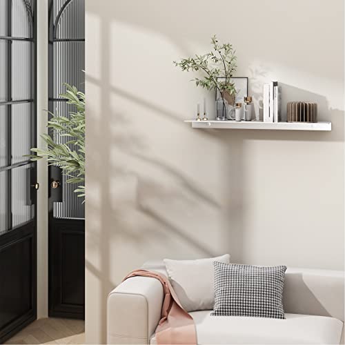 20 inch Floating Shelf for Wall Organizer & Storage, Display Shelf, Metal Wall Shelf for Bathroom, Living Room, Kitchen, Bedroom(Silver) - color: Silver, size: 20 in