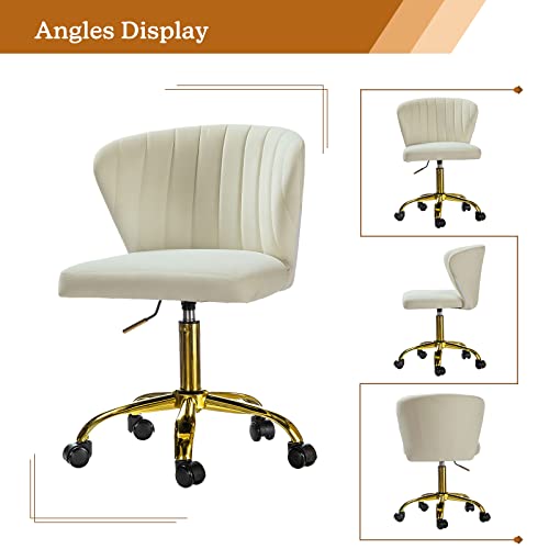 TINA'S HOME Office Desk Chairs with Wheels & Gold Base, Modern Velvet Cute Armless Office Chair, Adjustable Low Back Swivel Rolling Chair, Upholstered Task Chair for Living Room Vanity Study-Ivory | Modern Velvet Cute Armless Office Chair, Adjustable Low