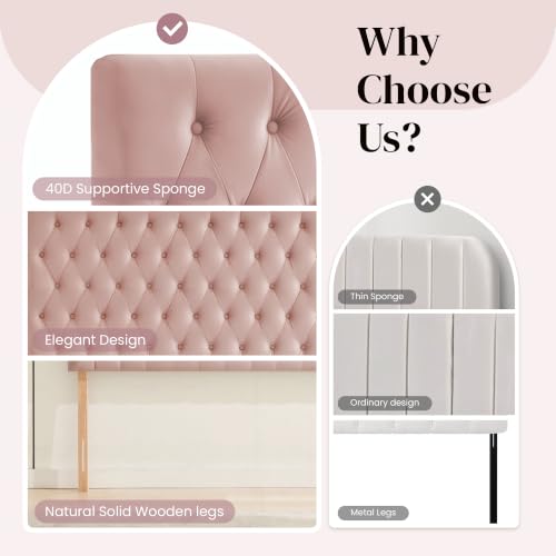 Upholstered Queen Headboard Only, Premium Velvet Button Tufted Headboards, Adjustable Solid Wood Head Board, Padded Headboard with Solid Wood Legs in Bedroom (Pink) - color: Pink, size: High Queen
