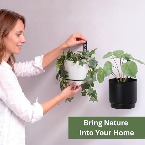 Self-Watering Wall Planters for Indoor Outdoor Plants (5.9 inch) | Metal Wall Vase, Wall Hanging Planter, Wall Plant Holder, Plant Hanger, Hanging Planter, Wall Plant - color: Black