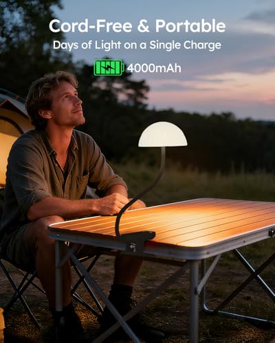 Cordless Clip On Lamp, Touch Control Desk Lamp with RGB Ambient Mode & 3000K–6000K, Rechargeable Dimmable Book Reading Light with Flexible Arm Sturdy Clamp On Table Bedside Headboard, Battery Operated - color: Black
