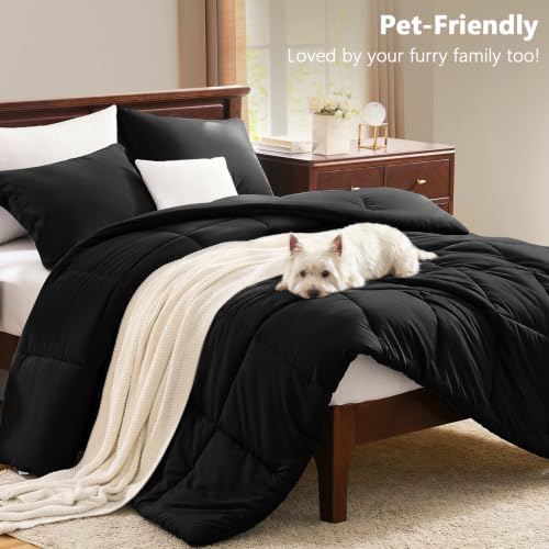 Super King Plus Comforter Set, 3-Piece Box-Stitched, Black | 128 x 120 in Maximum Coverage in the Collection, 270 GSM Fill, 90 GSM Brushed Microfiber Shell, OEKO-TEX Certified - color: Black, size: Super King Plus(128"x120")