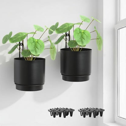 Self-Watering Wall Planters for Indoor Outdoor Plants (5.9 inch) | Metal Wall Vase, Wall Hanging Planter, Wall Plant Holder, Plant Hanger, Hanging Planter, Wall Plant - color: Black